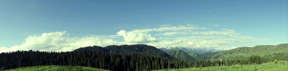 ������   ������