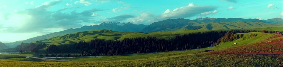 ���½�   ������