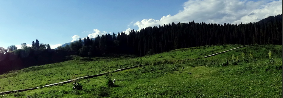 ��   ������