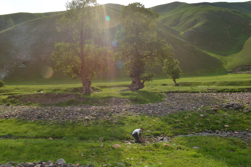 СϪ   ������