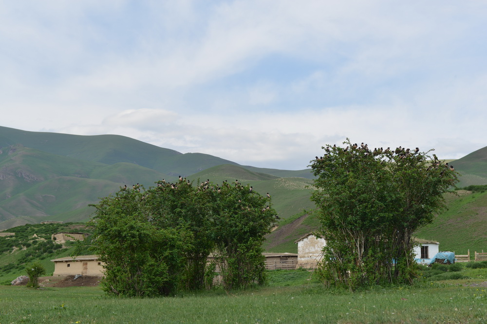 ����    ������