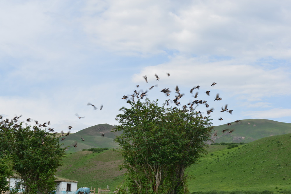 ���    ������