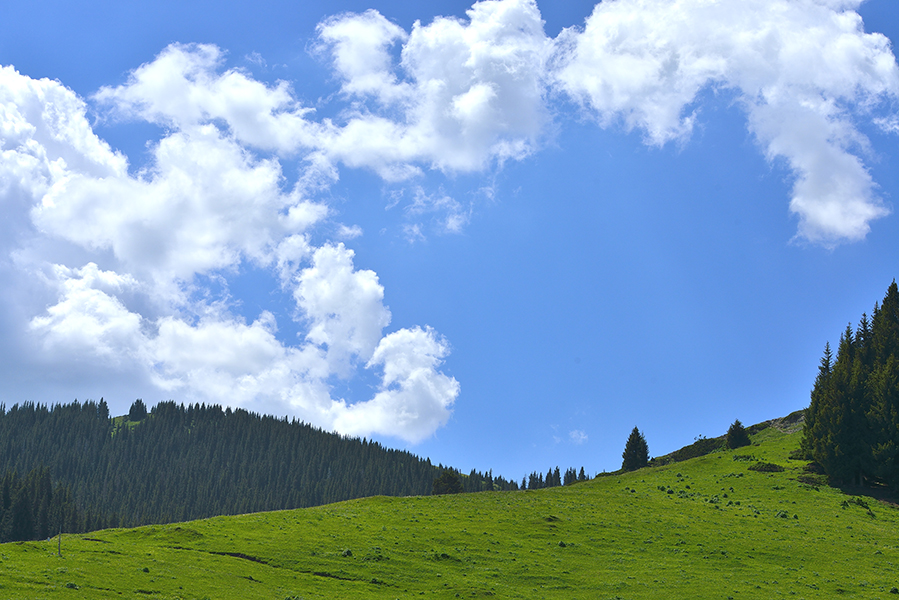 ��������İ���