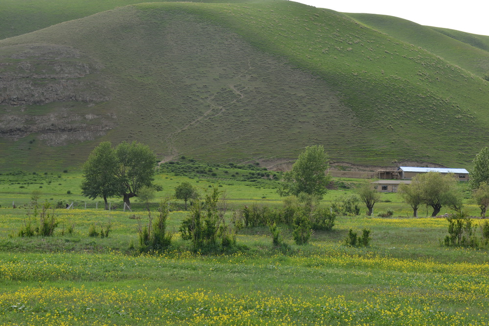 ����    ������