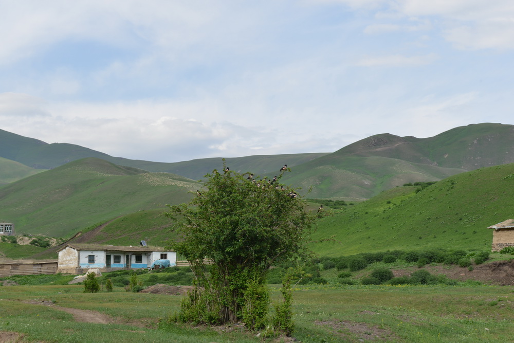 ����    ������