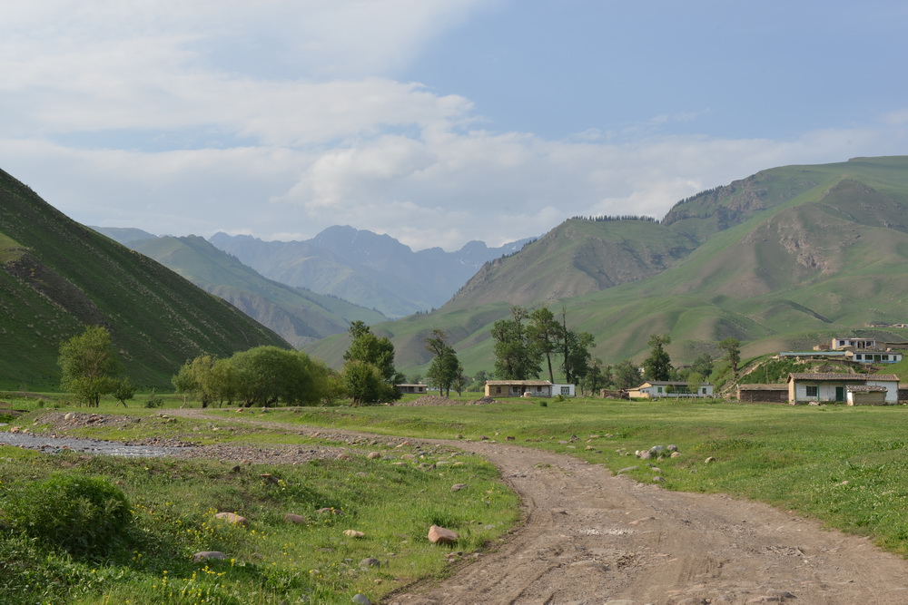 ������   ������