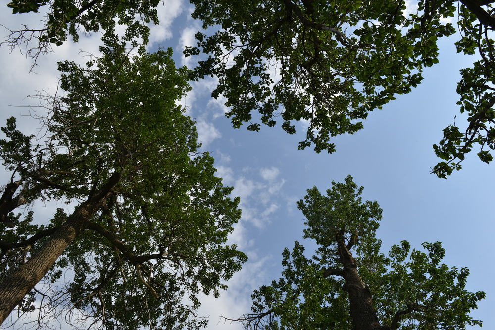 ����      ������