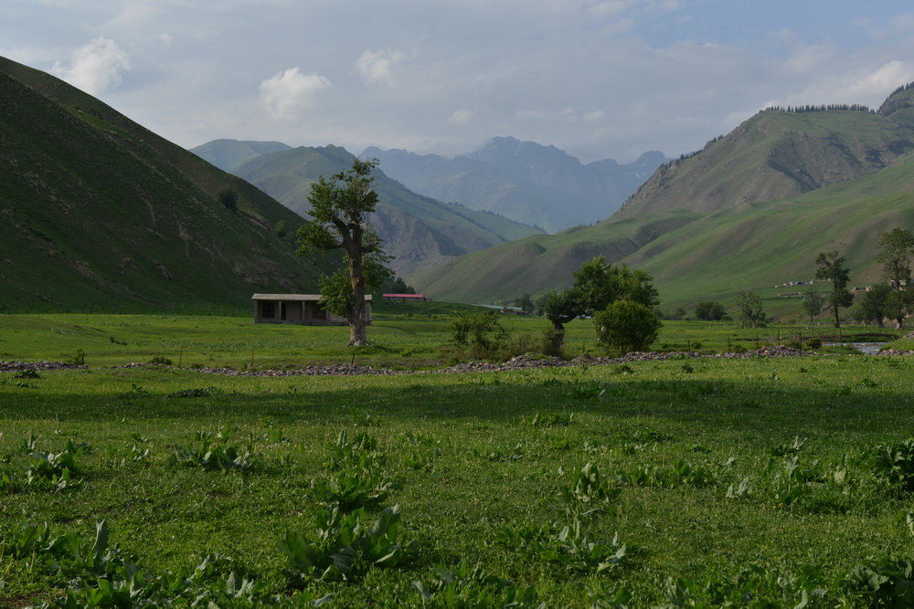 ɽ���续   ������