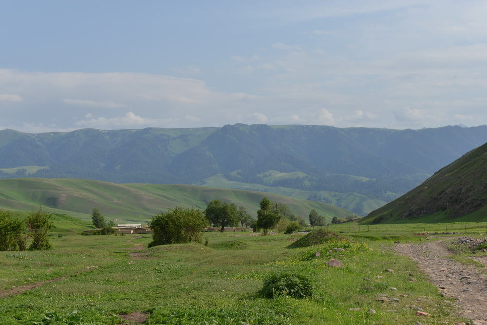 �̲�����   ������