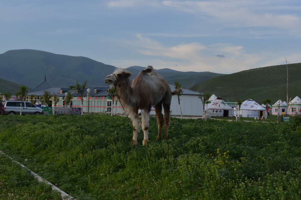 ����   ������