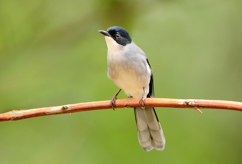 6��ͷ����_0726  5.jpg