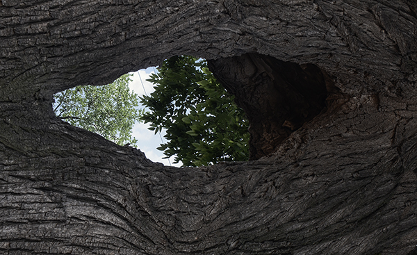 2014��6��22�������¡����� a16512.jpg