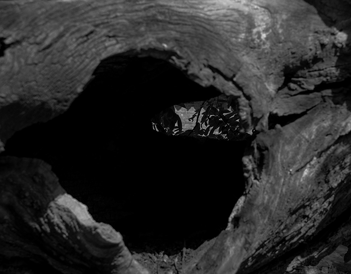 2014��6��22�������¡����� aa28812.jpg