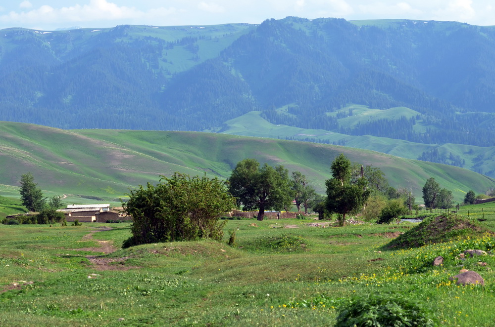 Ӱ��   ������