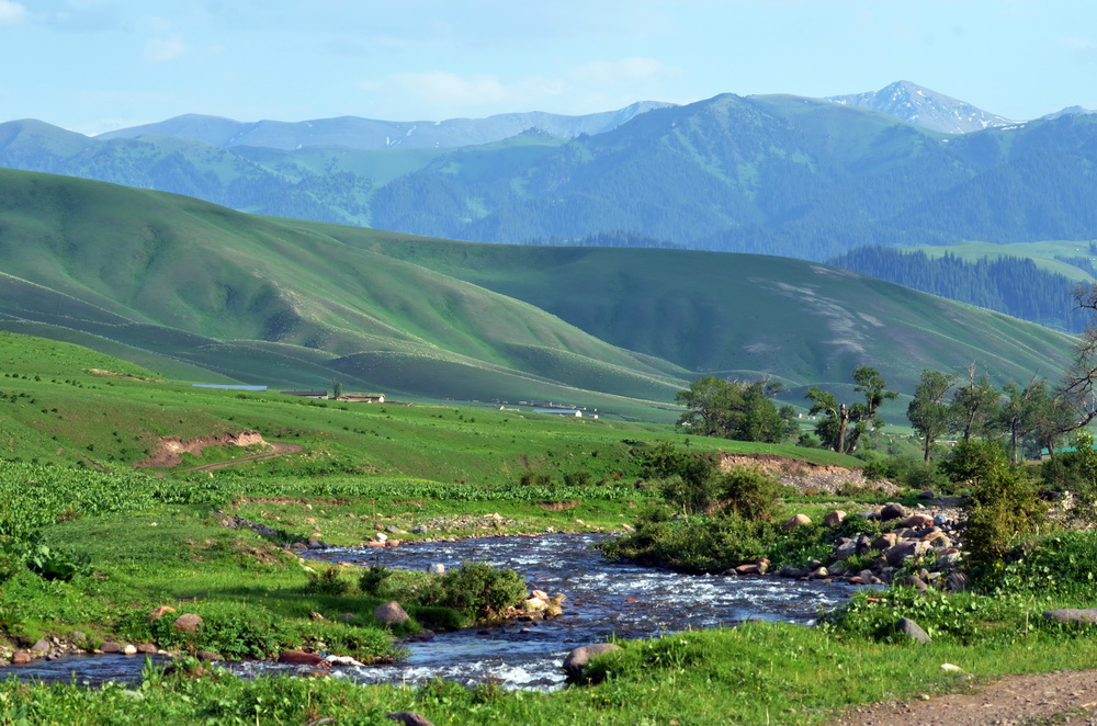 �����½�   ������