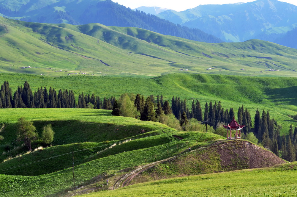 �������½�  ������