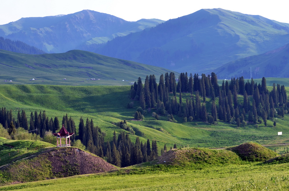 ������  ������