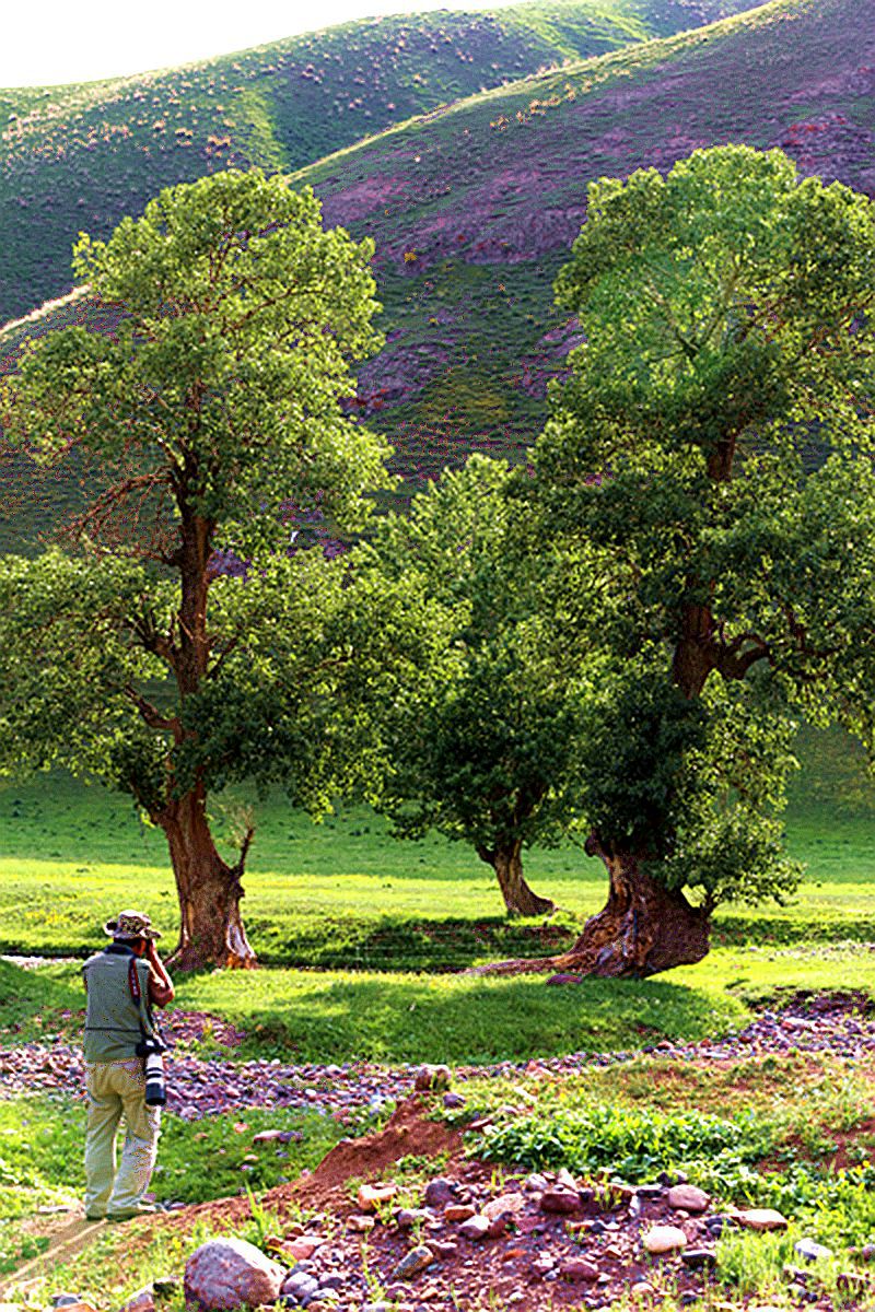 ��һ��������֮�ҡ�