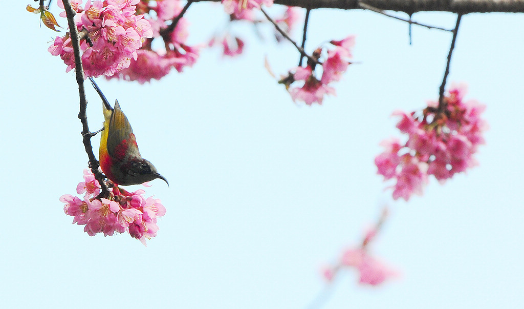 7����̫����1161  14.jpg