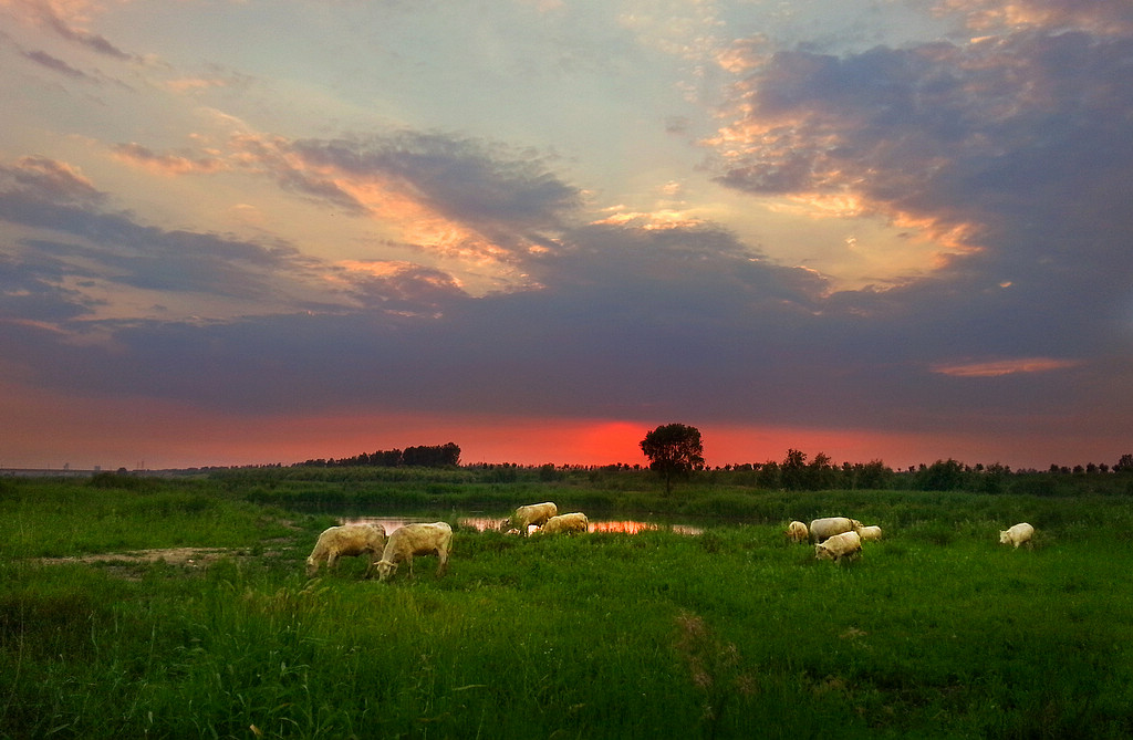 11б������   ������  15942757181(1).jpg