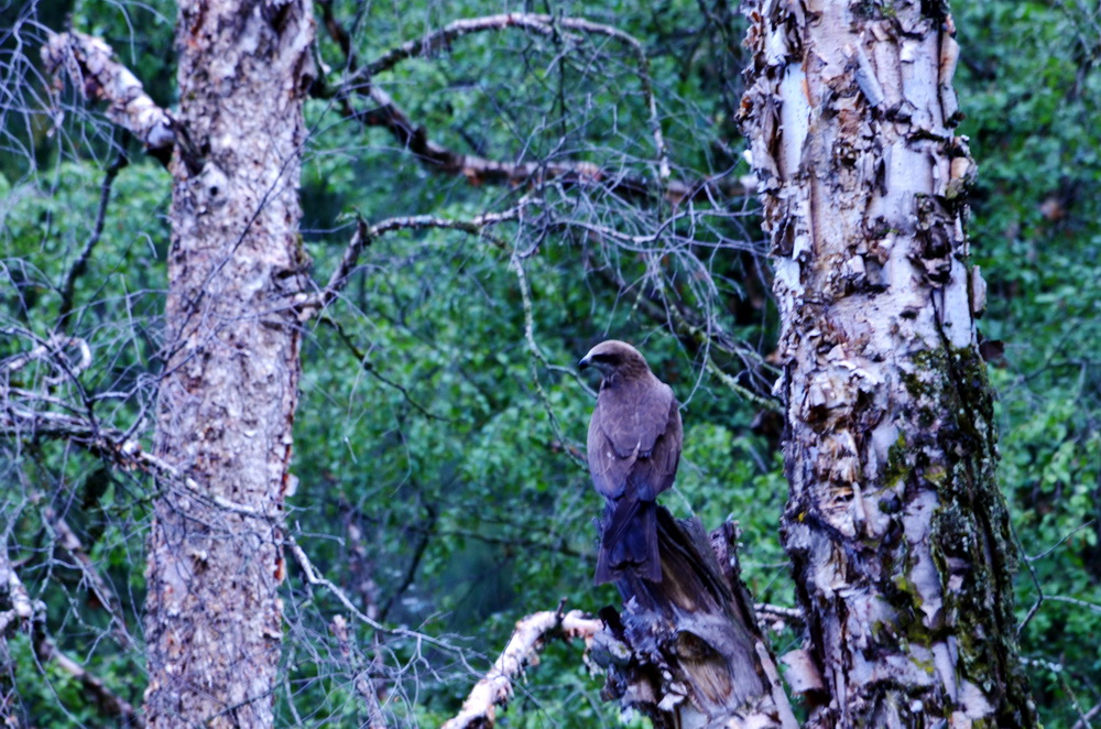 ����   ������