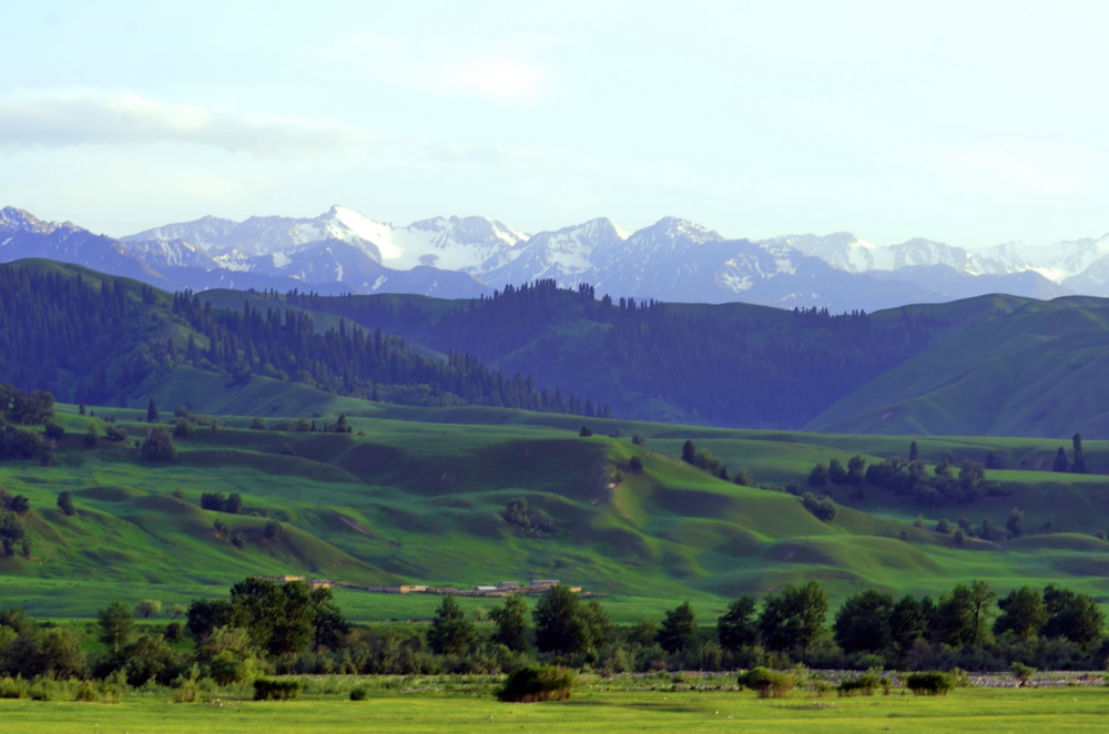 ��   ������