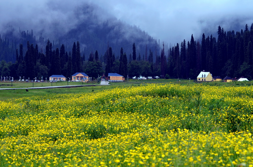 ���лƻ�   ������