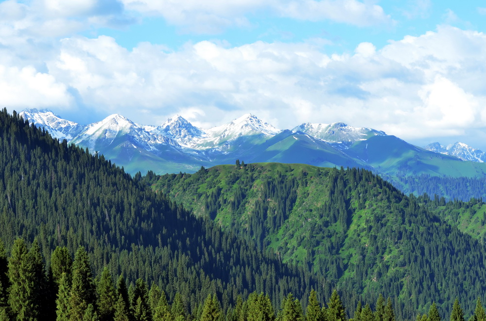 ѩɽ����    ������