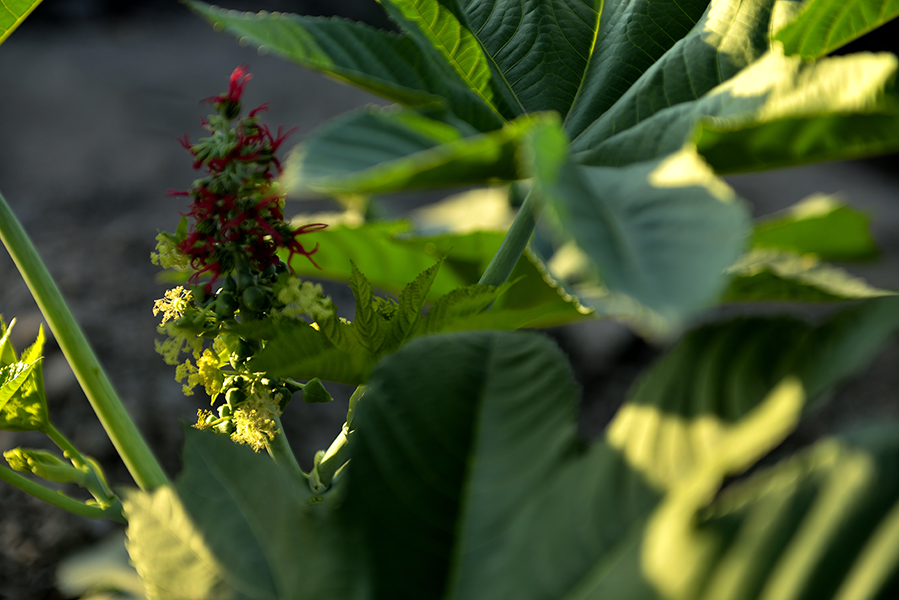 �ѵ�һ���ı��黨