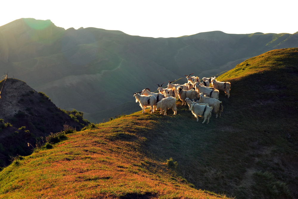 ������   ������