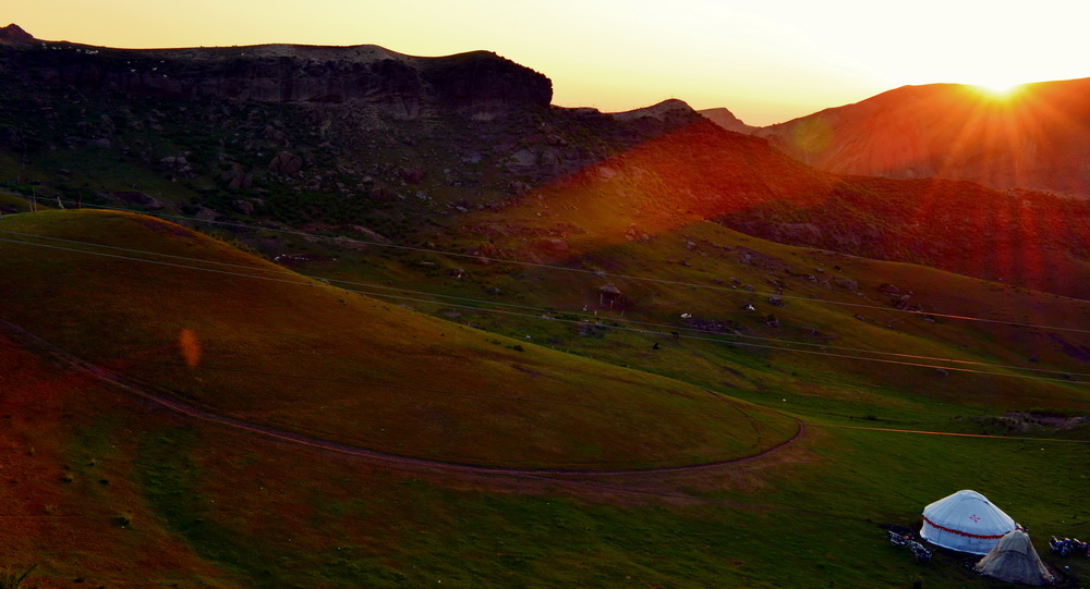 ����     ������