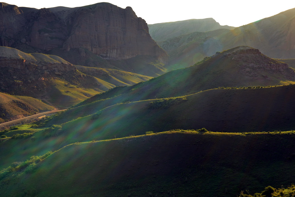 ����   ������