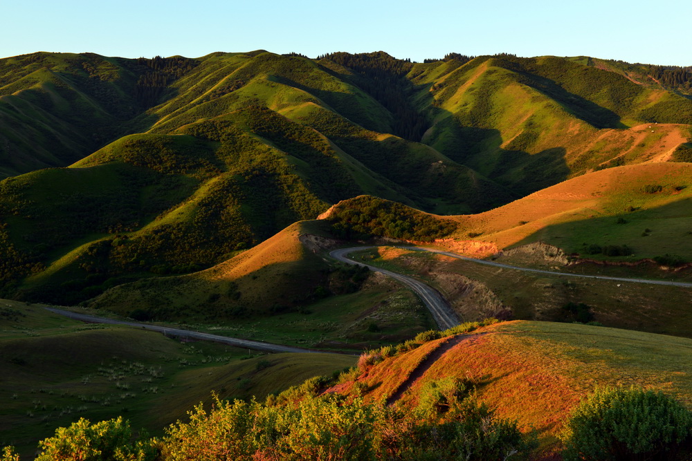 ��  ������