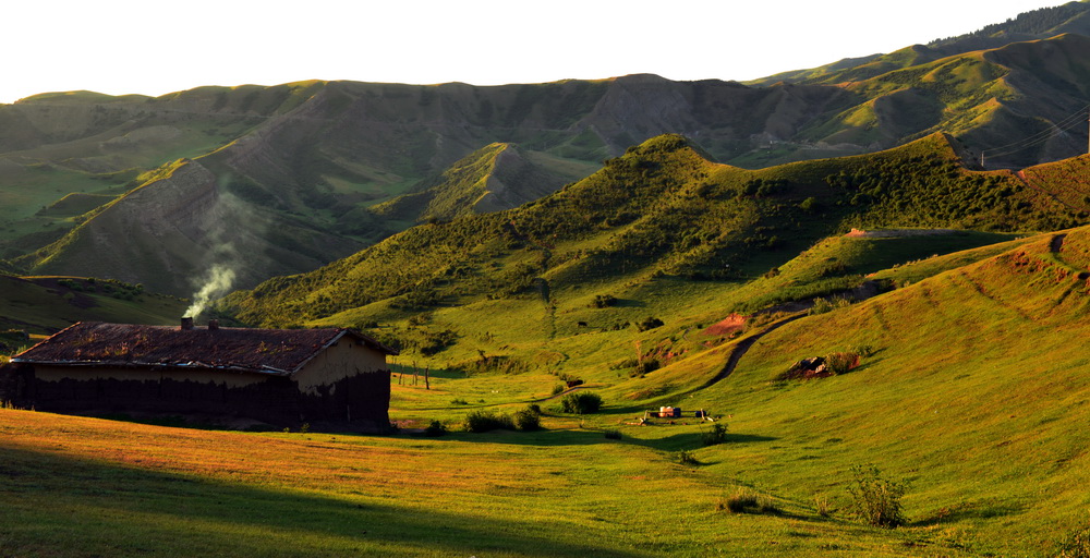 ����    ������