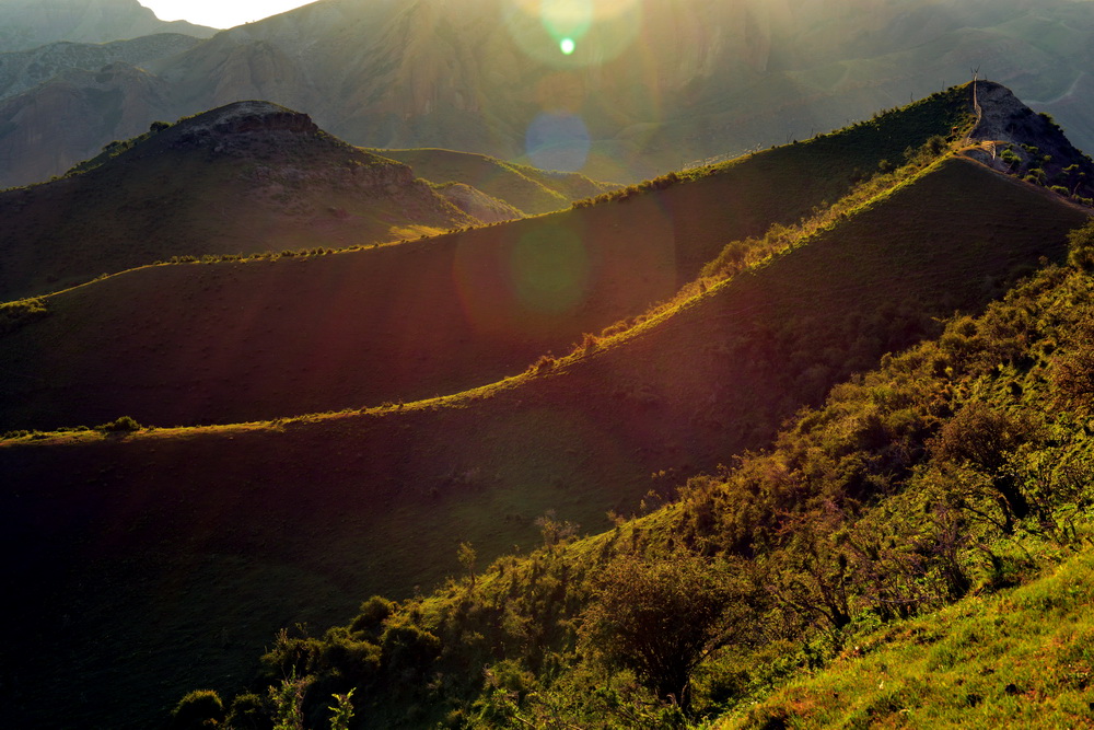 ����    ������