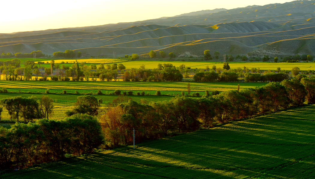 ��ɽ����ϣ������Ұ