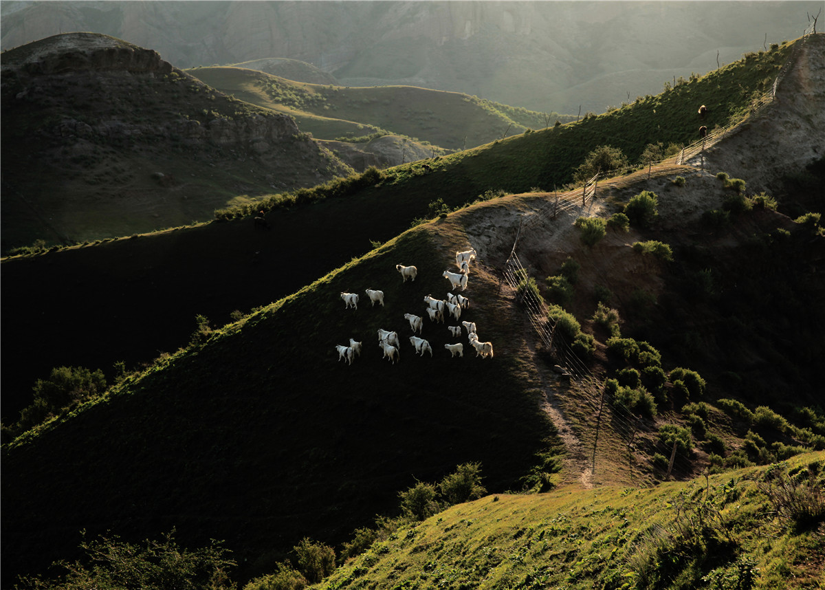 ���� (4).jpg