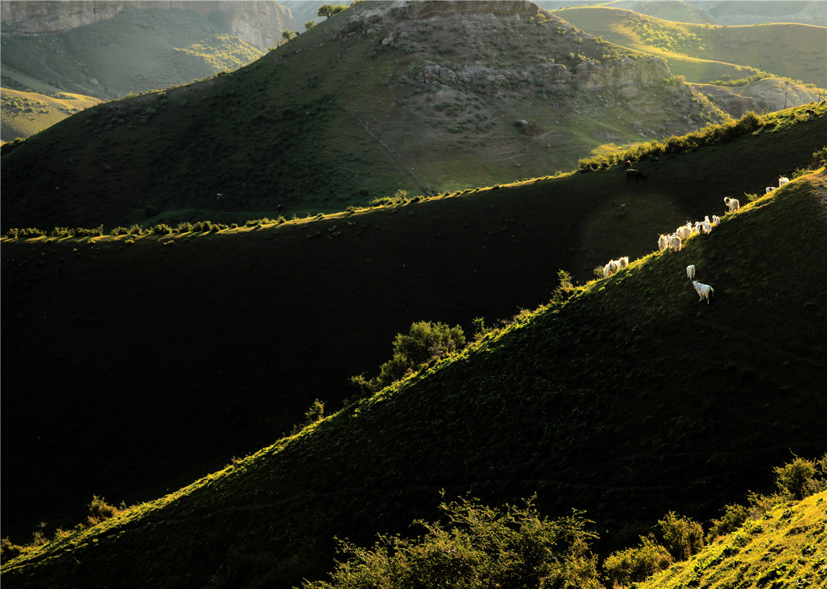 ���� (5).jpg