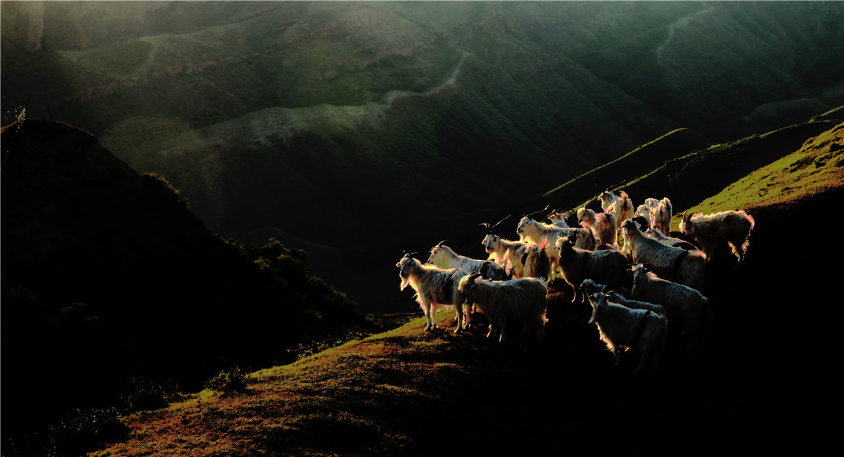 ���� (3).jpg