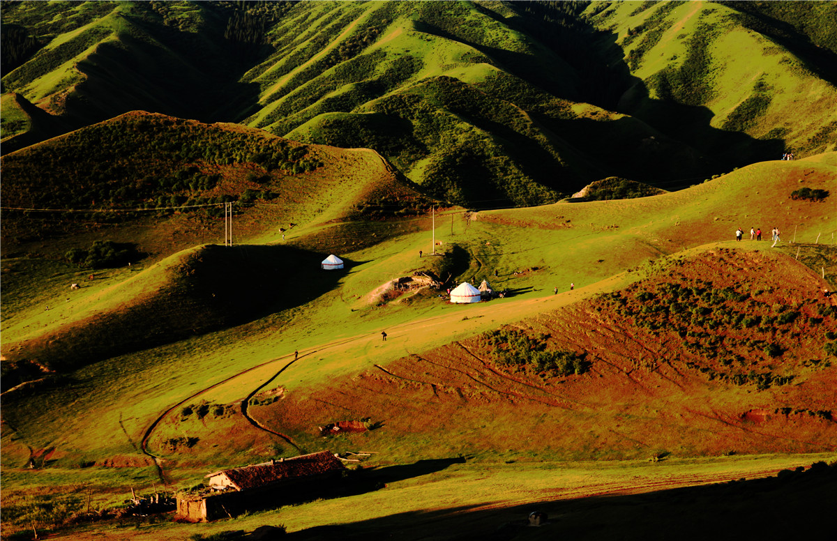 ���� (1).jpg