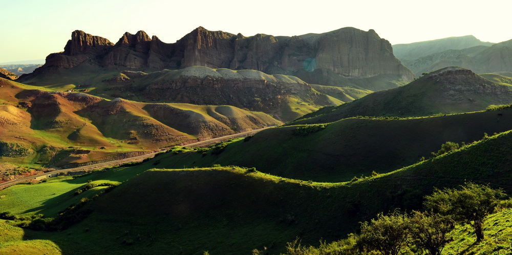 ɽ׳��    ������