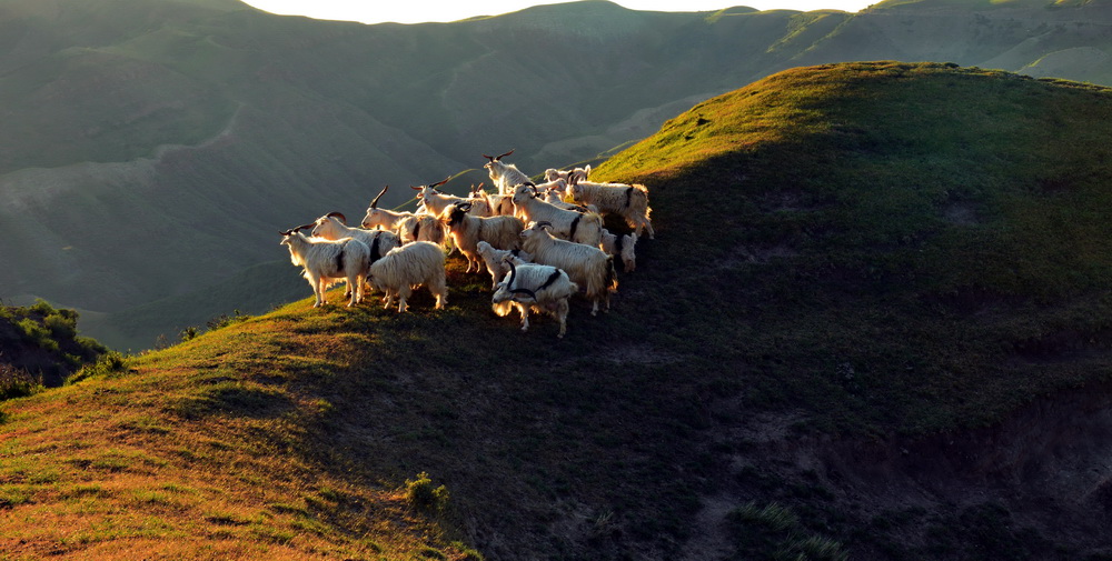 ������   ������