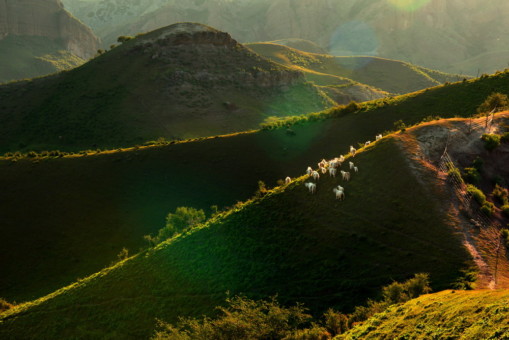 ����    ������