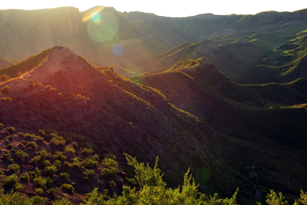 ϼ����   ������