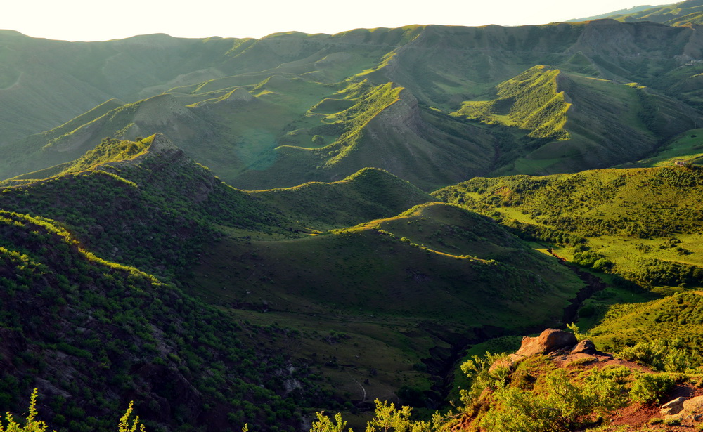 ����    ������