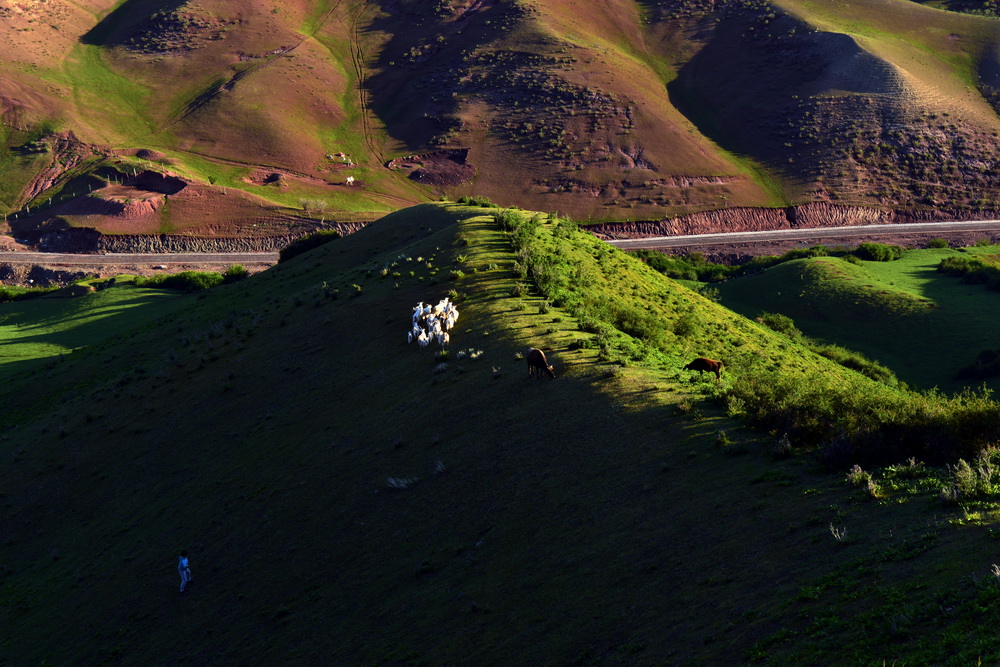 ����    ������