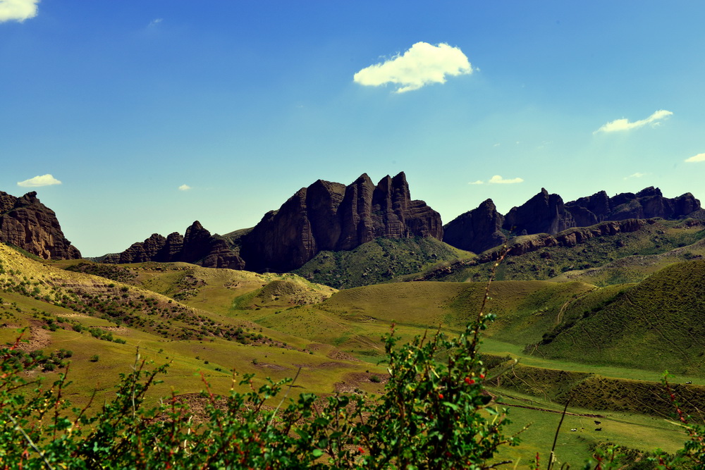 �ơ�ɽ����   ������