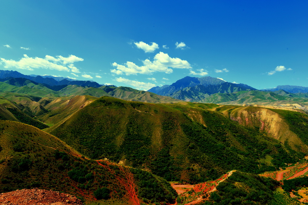 ��    ������