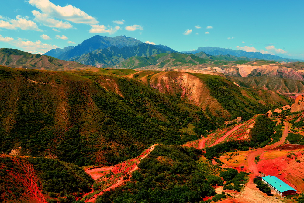 ��   ������