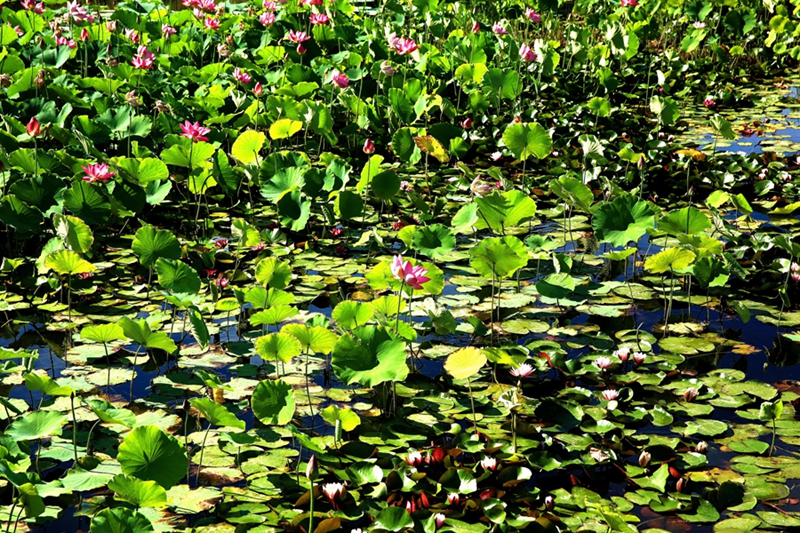 ���� 005_����.jpg